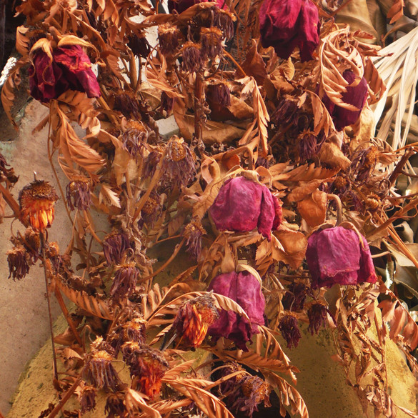 Flores_AbogadosAtocha