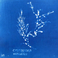 Galegas Algae