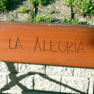 La Alegrís