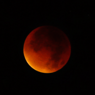 lunaroja